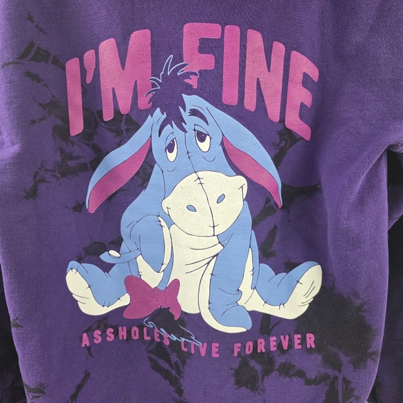 Eeyore A*^Holes Live Forever Tie Dye Purple Hoodie Unisex Size Medium R29 - Picture 3 of 6